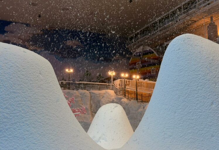 64f0a36d-17f1-4cac-8f2a-53446400e7cc